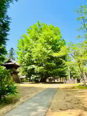 西蓮寺(茨城県)