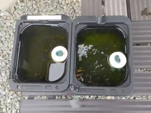 金樹寺(京都府)