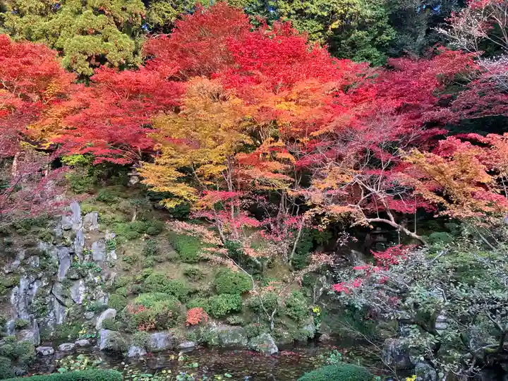 金剛輪寺(滋賀県)