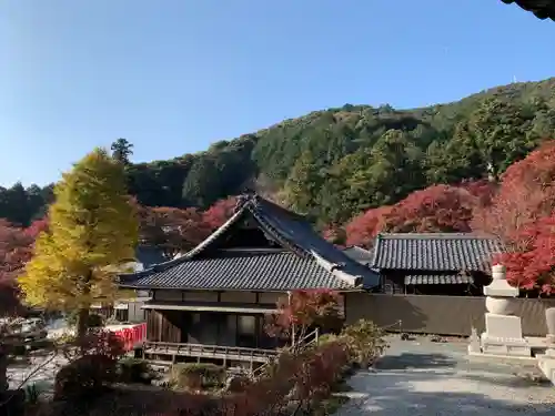 普門寺(切り絵御朱印発祥の寺)の景色