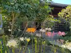 円照寺の自然