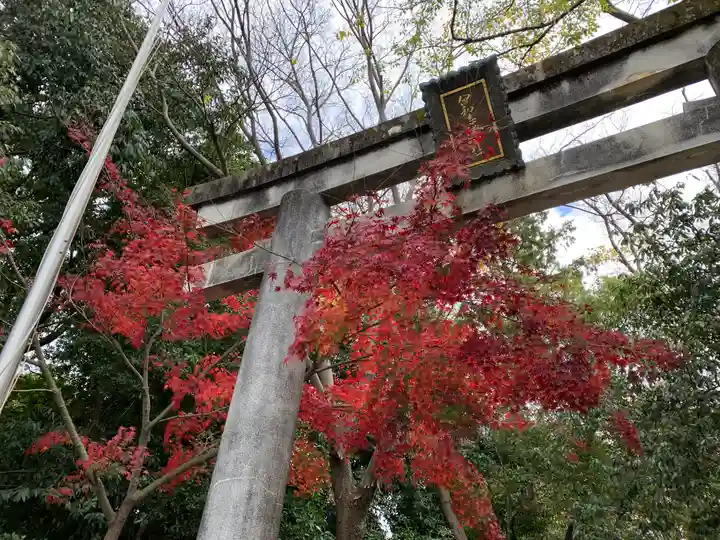 伊和志津神社(兵庫県)