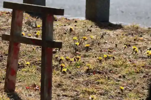 三坂稲荷神社の自然