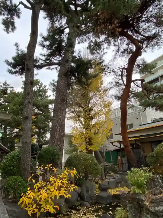 松原神社の自然