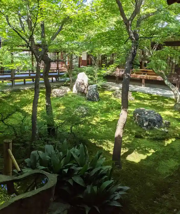 建仁寺(建仁禅寺)の庭園