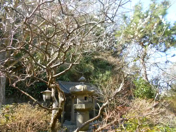 安國論寺(安国論寺)の庭園