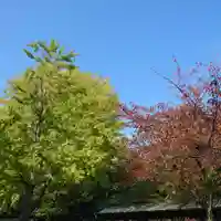 豊山八幡神社の自然