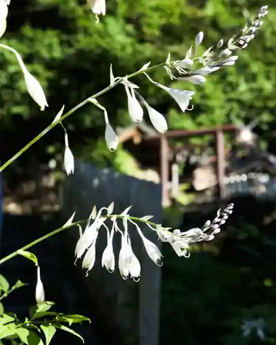 戸隠神社奥社(長野県)