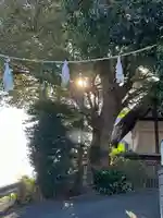 日吉神社(神奈川県)