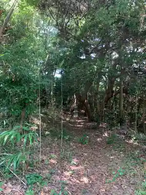 稲荷神社(千葉県)