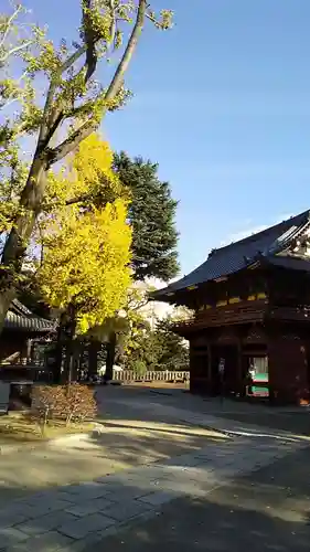 根津神社の山門