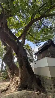 若宮八幡宮(京都府)