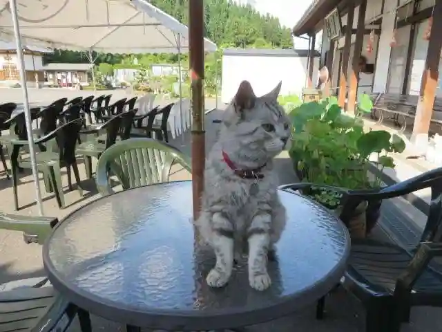 御誕生寺(猫寺)(福井県)