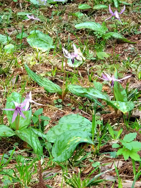 観音寺(福島県)