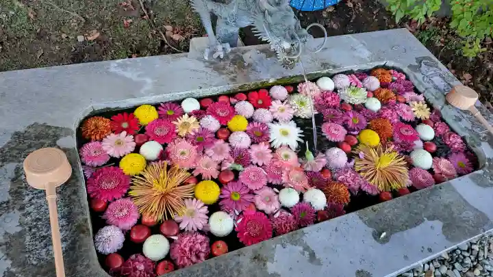 宝蔵寺の{uncategorized: "未分類", other: "その他", undefined: "問題あり", building: "その他建物", grave: "お墓", sacred_gate: "鳥居", guardian: "狛犬", statue: "像", buddha: "仏像", history: "歴史", nature: "自然", garden: "庭園", animal: "動物", pagoda: "塔", temizu: "手水舎", mountain_gate: "山門・神門", sanctuary: "本殿・本堂", subordinate: "末社・摂社", art: "芸術", scenery: "景色", jizo: "地蔵", ema: "絵馬", goshuin: "御朱印", omikuji: "おみくじ", items: "授与品その他", amulet: "お守り", goshuincho: "御朱印帳", eats: "食事", festival: "お祭り", votive_dance: "神楽", shichigosan: "七五三参", wedding: "結婚式", experience: "体験その他", initially: "初詣", around: "周辺", anti_infection: "感染症対策"}