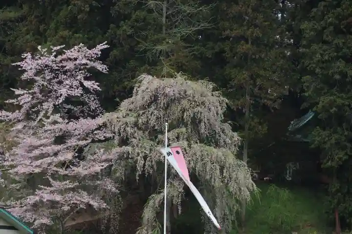 八幡神社の景色