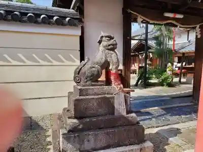 御霊神社の狛犬