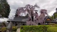 慈雲寺(山梨県)