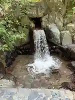 椿大神社(三重県)