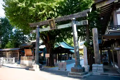湯島天満宮の鳥居