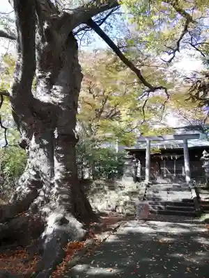 愛宕神社のその他建物