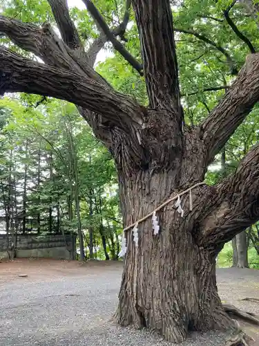 相馬神社のその他建物