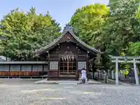 八幡社(柏井町)の本殿・本堂