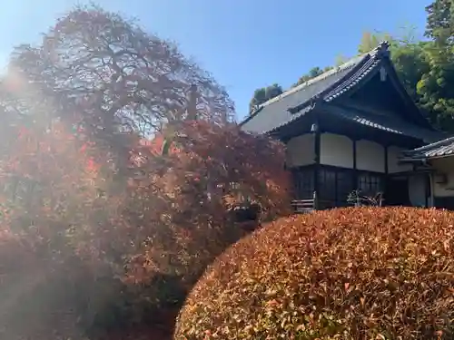 天台宗　長窪山　正覚寺の庭園