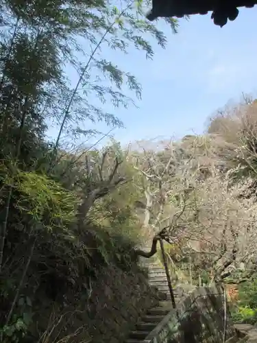 光則寺の景色