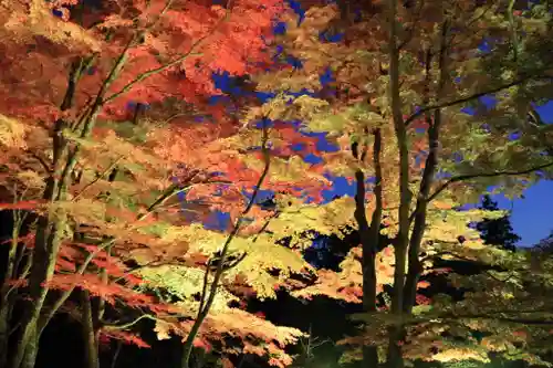 土津神社｜こどもと出世の神さまの景色