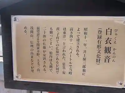 観音山慈眼院(高崎観音)(群馬県)