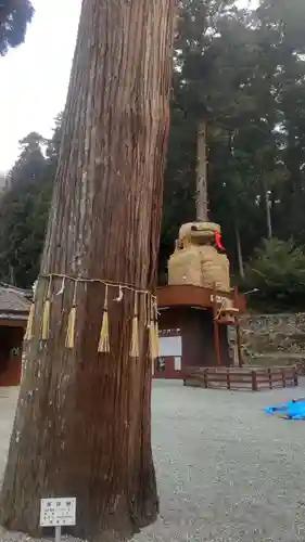 安志加茂神社(兵庫県)
