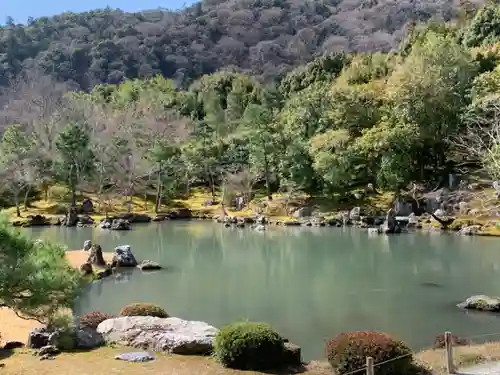 天龍寺の庭園