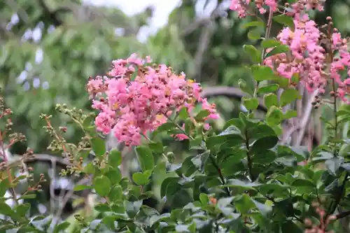 開成山大神宮の自然