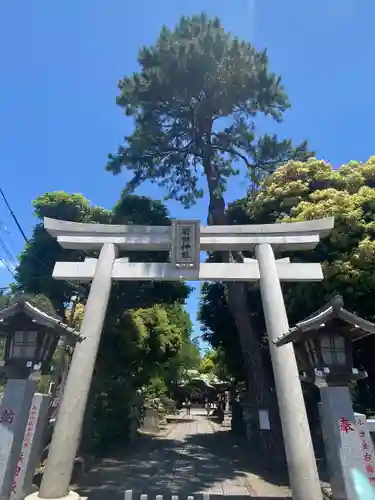 菊田神社の鳥居