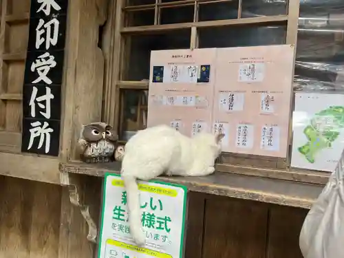 伊佐須美神社の動物
