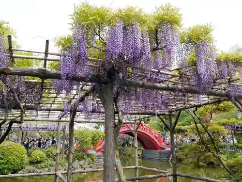 亀戸天神社の庭園