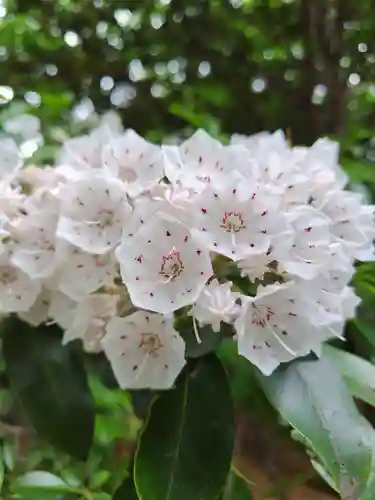 厚別神社(北海道)