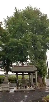 中川氷川神社の手水舎