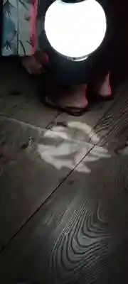 豊川閣　妙厳寺(愛知県)