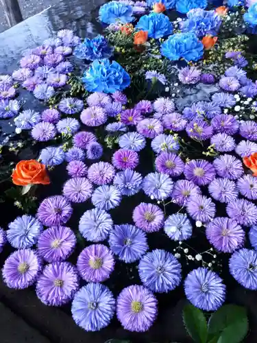 前玉神社の手水