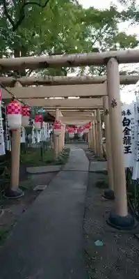 若宮神明社の鳥居