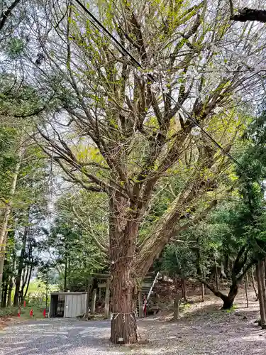 石手堰神社(岩手県)