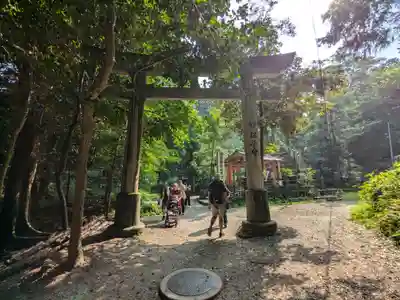 伏見稲荷大社(京都府)