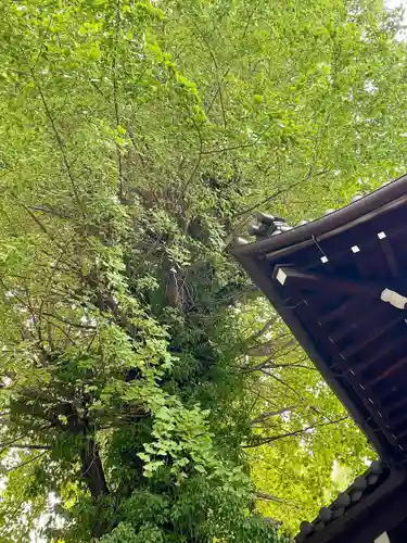 正徳寺(東京都)