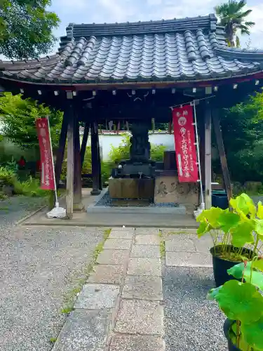 五大堂同聚院の{uncategorized: "未分類", other: "その他", undefined: "問題あり", building: "その他建物", grave: "お墓", sacred_gate: "鳥居", guardian: "狛犬", statue: "像", buddha: "仏像", history: "歴史", nature: "自然", garden: "庭園", animal: "動物", pagoda: "塔", temizu: "手水舎", mountain_gate: "山門・神門", sanctuary: "本殿・本堂", subordinate: "末社・摂社", art: "芸術", scenery: "景色", jizo: "地蔵", ema: "絵馬", goshuin: "御朱印", omikuji: "おみくじ", items: "授与品その他", amulet: "お守り", goshuincho: "御朱印帳", eats: "食事", festival: "お祭り", votive_dance: "神楽", shichigosan: "七五三参", wedding: "結婚式", experience: "体験その他", initially: "初詣", around: "周辺", anti_infection: "感染症対策"}