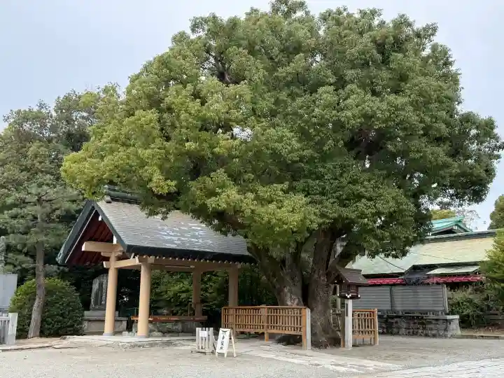和泉國一之宮 大鳥大社の{uncategorized: "未分類", other: "その他", undefined: "問題あり", building: "その他建物", grave: "お墓", sacred_gate: "鳥居", guardian: "狛犬", statue: "像", buddha: "仏像", history: "歴史", nature: "自然", garden: "庭園", animal: "動物", pagoda: "塔", temizu: "手水舎", mountain_gate: "山門・神門", sanctuary: "本殿・本堂", subordinate: "末社・摂社", art: "芸術", scenery: "景色", jizo: "地蔵", ema: "絵馬", goshuin: "御朱印", omikuji: "おみくじ", items: "授与品その他", amulet: "お守り", goshuincho: "御朱印帳", eats: "食事", festival: "お祭り", votive_dance: "神楽", shichigosan: "七五三参", wedding: "結婚式", experience: "体験その他", initially: "初詣", around: "周辺", anti_infection: "感染症対策"}