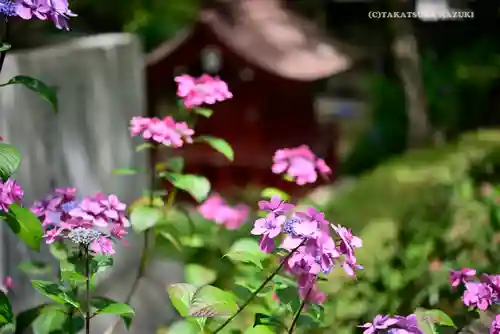 高幡不動尊　金剛寺の自然