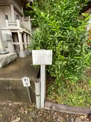 走水神社(神奈川県)