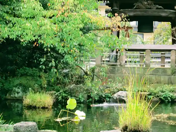 西新井大師総持寺(東京都)
